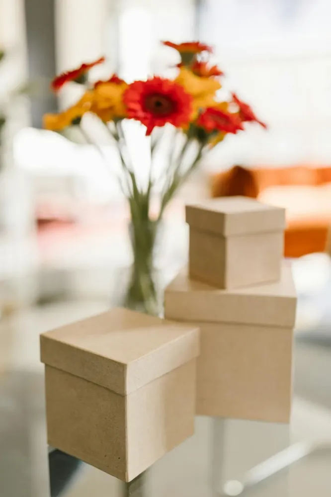 boîtes cubiques